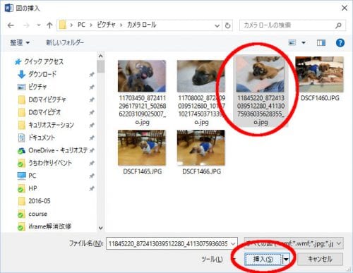 写真の挿入