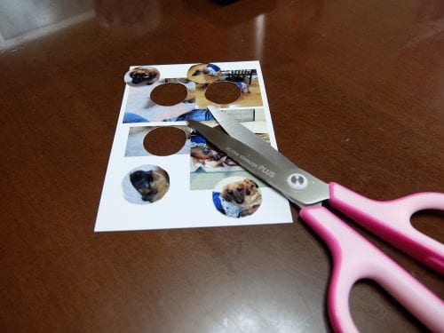 写真をハサミで切り抜きます