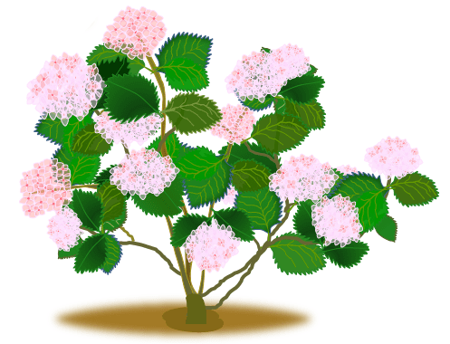 Wordで描かれた「紫陽花」