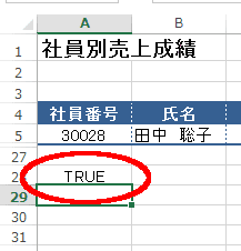結果は「TRUE」