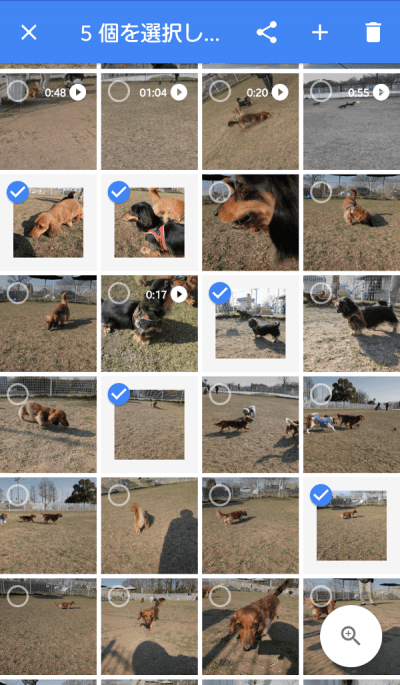 数枚の写真を選択したところ