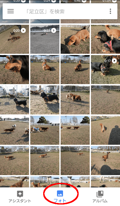 Googleフォトで、「フォト」を押すと、バックアップ済みの写真がすべて並んで表示されます。
