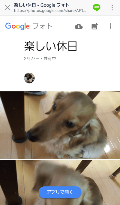 LINE内で表示されたGoogleフォト