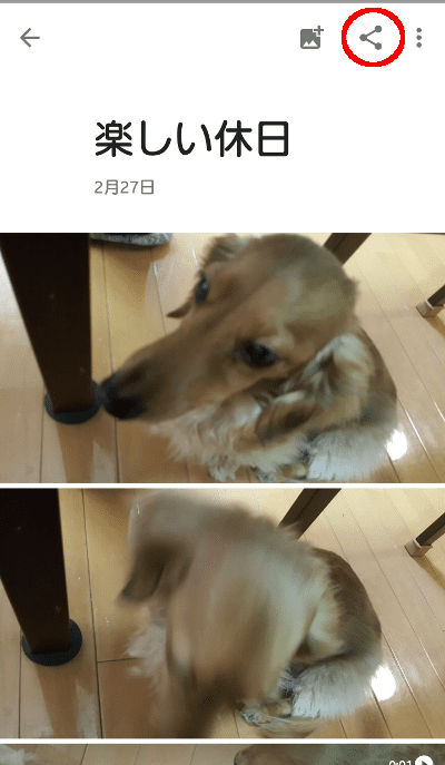アルバム右上のシェアボタン