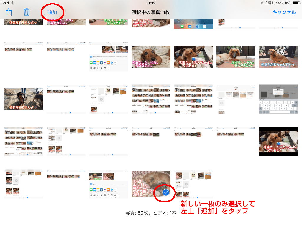 新しい一枚のみを選択して「追加」