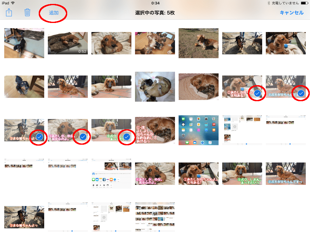 資料に使いたい写真を選択して「追加」