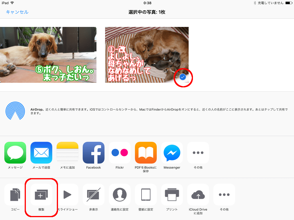 「複製」をタップ