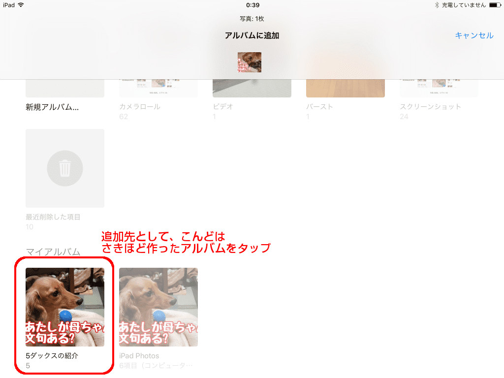 追加先として、さきほど作ったアルバムをタップ
