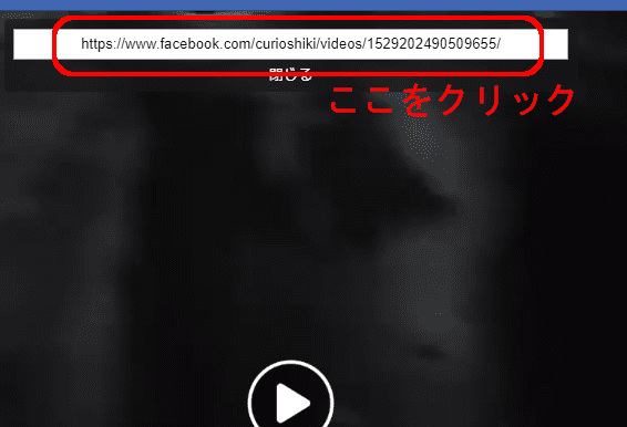 表示された動画のURLをクリック
