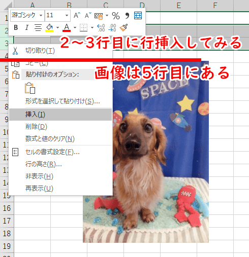 画像が5行目にあるので、2~3行目に行挿入してみる