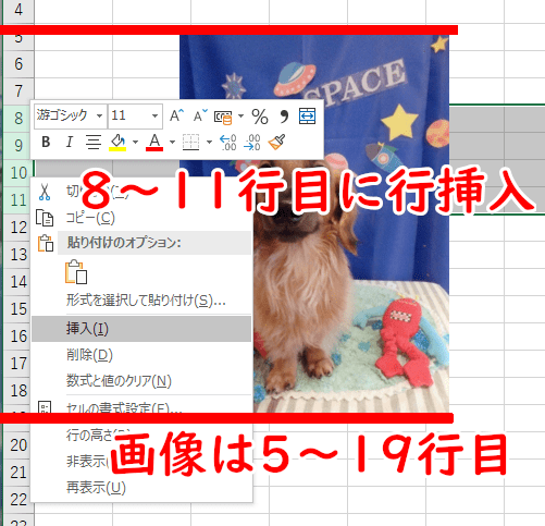 画像が5~19行目にある状態で、そのどまんなか、8~11行目に行挿入