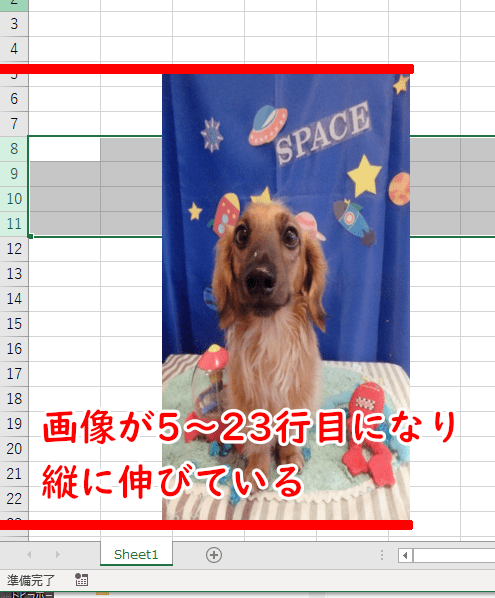 画像が5~23行目になり、縦に伸びている