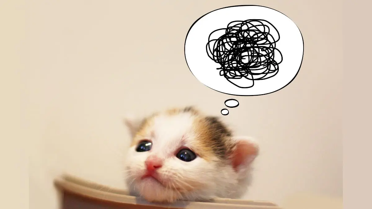 PCデポ ルーター (ACアダプタ付き) SSW-R866AC01 PCデポ ルーター (AC