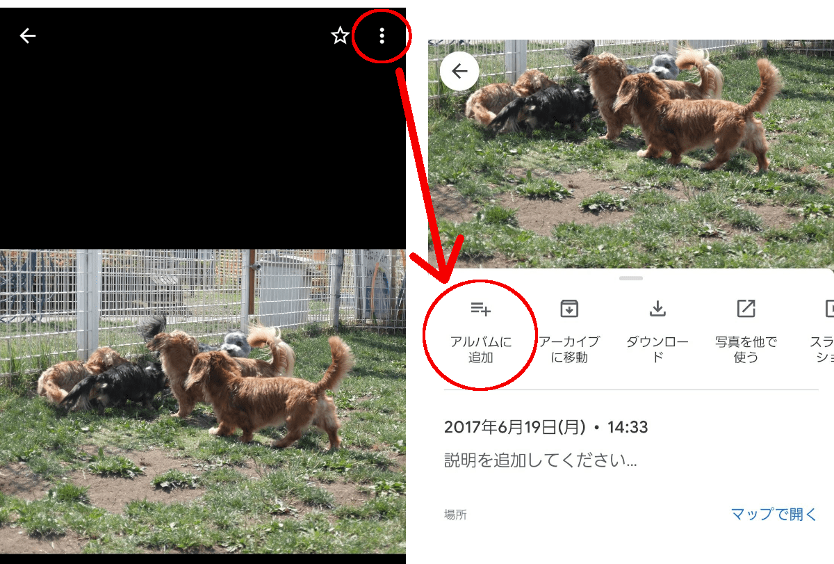 写真右上のメニューをタップ
アルバムに追加