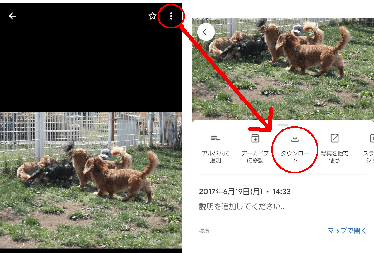写真右上のメニューをタップ
ダウンロード