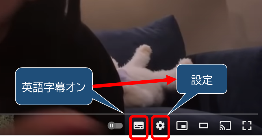 パソコン版YouTube右下、カードのようなアイコンで、英語字幕オン
その右の歯車のアイコンで設定に入る