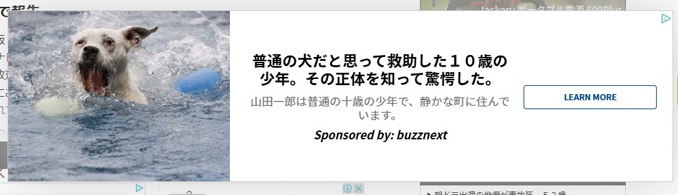 広告 普通の犬だと思って救助した10歳の少年。その正体を知って驚愕した
詐欺画面の起点になっている広告